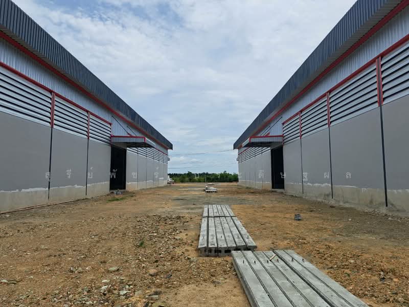 New factory, warehouse and office space in Samut Sakhon. 1-3 rai 1000-2000 sq m Soi Phanthuwong, Samut Sakhon, เศรษฐกิจ, Ban Ko, Muang Samut Sakhon, Samut Sakhon, , 1,000 sqm, Warehouse/Factory For Sale, by Sureepatch Praditthaphon, 500089883 - DDproperty.com