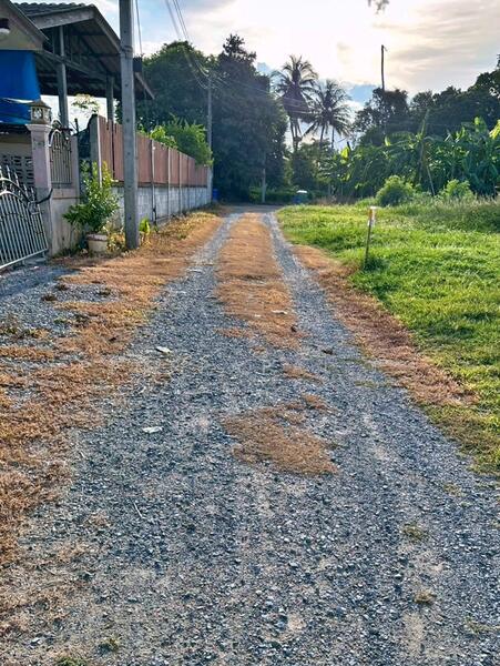 ขาย - นครปฐม, นครปฐม