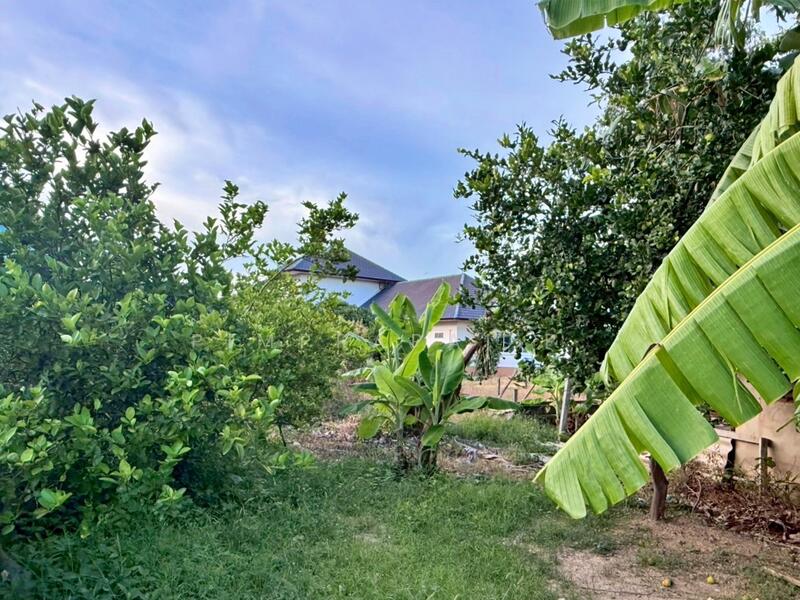 ขาย - นครปฐม, นครปฐม