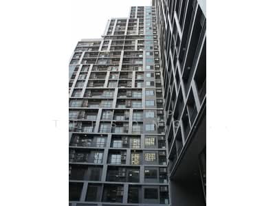 ขาย - The Seed Mingle Sathorn-Suanplu : เดอะ ซี้ดมิงเกิ้ล สาทร-สวนพลู, กรุงเทพ