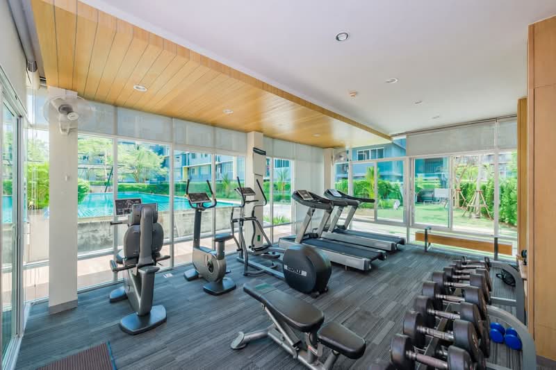 Dcondo Kathu-Patong, Phuket, Wichit Songkhram Road, Kathu, Phuket, 1 Bedroom, 30 sqm, Condo For Rent, by Jittima BOTES, 500091932 - DDproperty.com