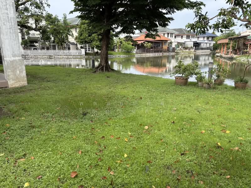 หมู่บ้านภัทรนิเวศน์ลากูน : Phattharaniwet Lagoon Village, นนทบุรี, บางบัวทอง, นนทบุรี, 260 ตร.ม., บ้านเดี่ยว ขาย, โดย พลอยปภัส เจียมธนศักดิ์, 500091956 - DDproperty.com