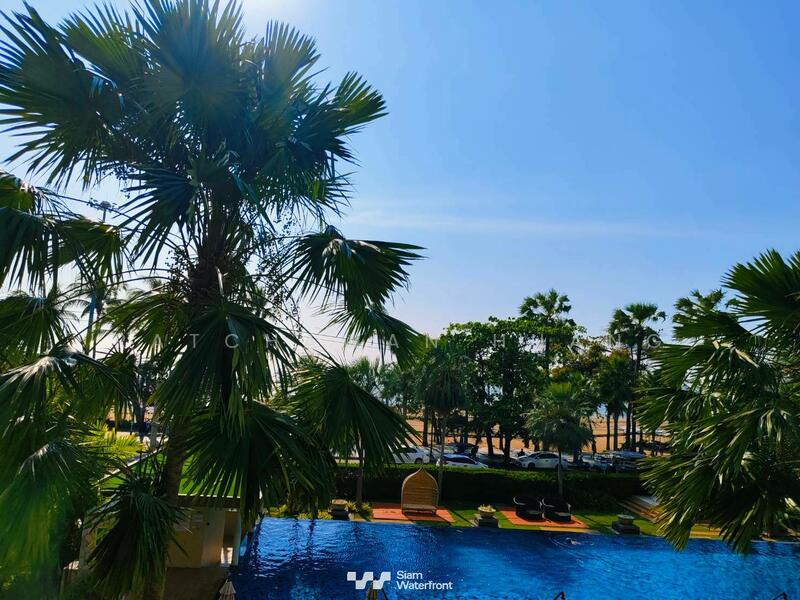 Cetus Beachfront, Chon Buri (Pattaya), Village No. 12 422 Jomtiensaineung Rd, Na Kloe, Bang Lamung (Pattaya), Chon Buri (Pattaya), 2 Bedrooms, 99 sqm, Condo For Rent, by Ratchawan Huang, 500092517 - DDproperty.com