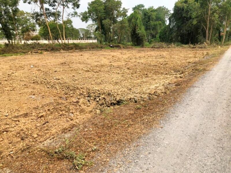 For Rent - ไม่พบโครงการ, Nonthaburi