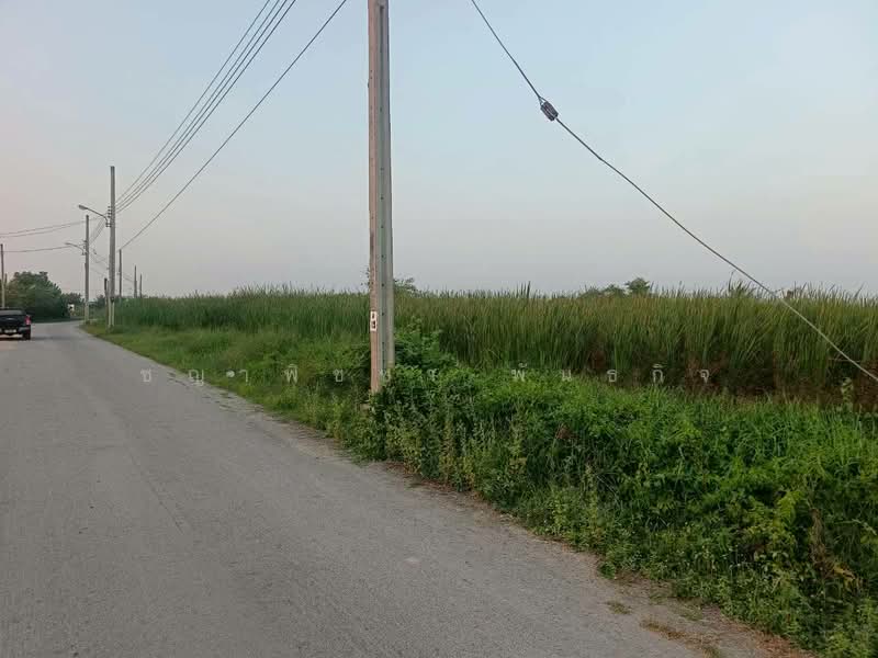 ขายที่ดินเปล่า 297 ตร.ว. ต.บางม่วง อ.บางใหญ่ นนทบุรี ตรว.ละ 20,000 บาท | ใกล้ตลาดคุ้มทรัพย์ ตลาดล่ำซ, นนทบุรี, บางม่วง, บางใหญ่, นนทบุรี, 1,188 ตร.ม., ที่ดิน ขาย, โดย ชญาพิชชา พันธกิจ, 500094434 - DDproperty.com