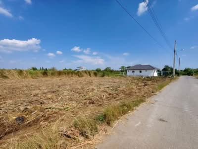 ขาย - ขายที่ดินเปล่า 297 ตร.ว. บางม่วง บางใหญ่ นนทบุรี | ใกล้ตลาด แหล่งชุมชน ราคาตรว.ละ 20,000 บาท เหมาะลง, นนทบุรี