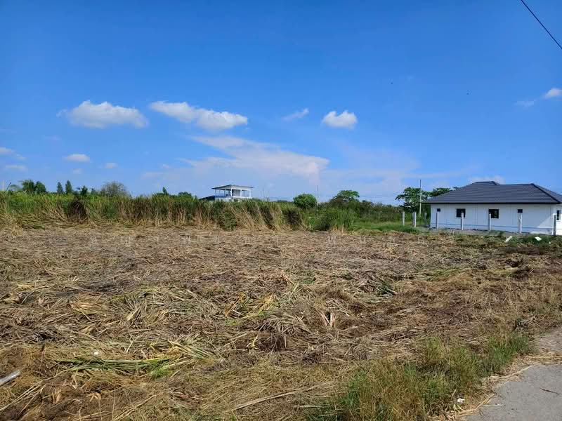 ขายที่ดินเปล่า 297 ตร.ว. ต.บางม่วง อ.บางใหญ่ นนทบุรี ตรว.ละ 20,000 บาท | ใกล้ตลาดคุ้มทรัพย์ ตลาดล่ำซ, นนทบุรี, บางม่วง, บางใหญ่, นนทบุรี, 1,188 ตร.ม., ที่ดิน ขาย, โดย ชญาพิชชา พันธกิจ, 500094434 - DDproperty.com