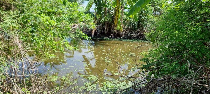 ขาย - ลาดกระบัง, กรุงเทพ