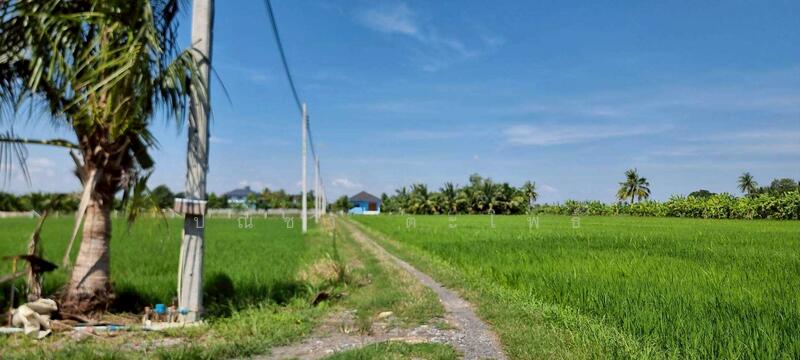 For Sale - ลาดกระบัง, Bangkok