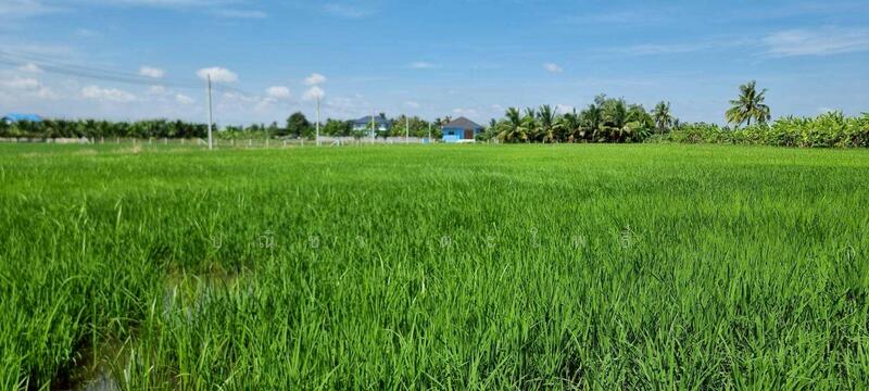 ขาย - ลาดกระบัง, กรุงเทพ