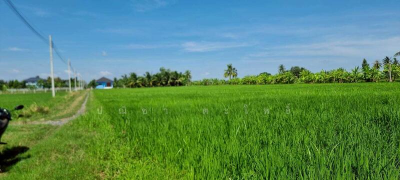 ขาย - ลาดกระบัง, กรุงเทพ