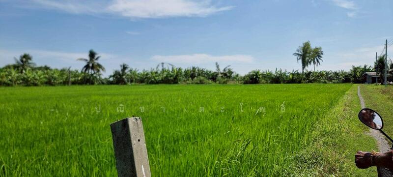 ขาย - ลาดกระบัง, กรุงเทพ