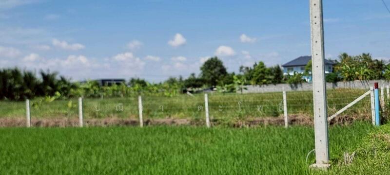 ขาย - ลาดกระบัง, กรุงเทพ