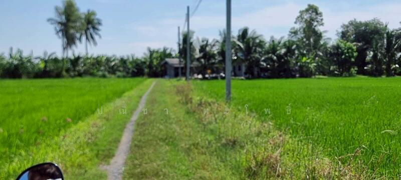 ขาย - ลาดกระบัง, กรุงเทพ