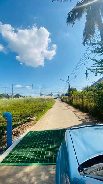 ขาย - เกาะตาเลี้ยง, สุโขทัย