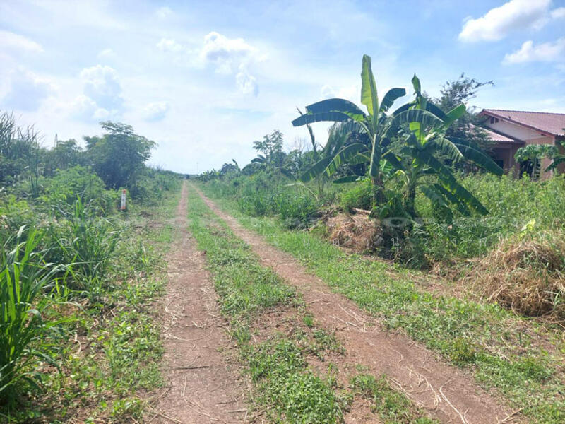 For Sale - ถ.346 ต.หน้าไม้ อ.ลาดหลุมแก้ว จ.ปทุมธานี, Pathum Thani