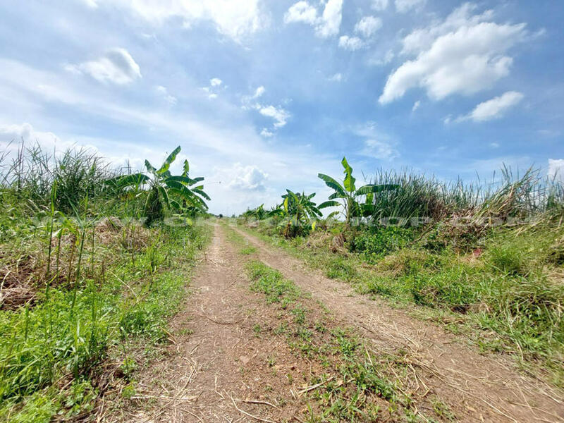 ขาย - ถ.346 ต.หน้าไม้ อ.ลาดหลุมแก้ว จ.ปทุมธานี, ปทุมธานี