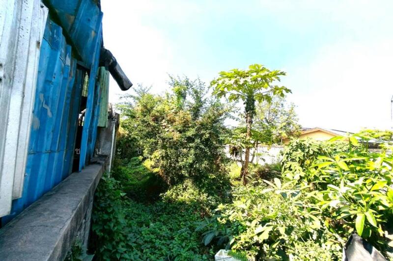 ขาย - ที่ดินเปล่า เนื้อที่ 200 ตร.ว. ติดถนนทวีวัฒนา (ใกล้ซอยทวีวัฒนา 1), กรุงเทพ