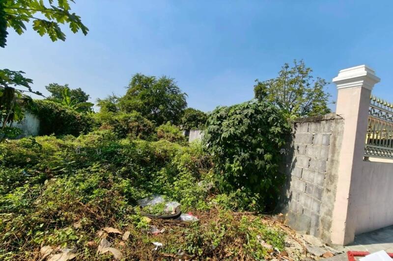 ขาย - ที่ดินเปล่า เนื้อที่ 200 ตร.ว. ติดถนนทวีวัฒนา (ใกล้ซอยทวีวัฒนา 1), กรุงเทพ