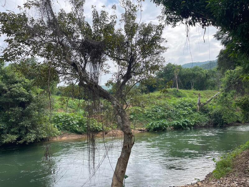 ขาย - ตำบลสองพี่น้อง อำเภอแก่งกระจาน จังหวัดเพชรบุรี, เพชรบุรี