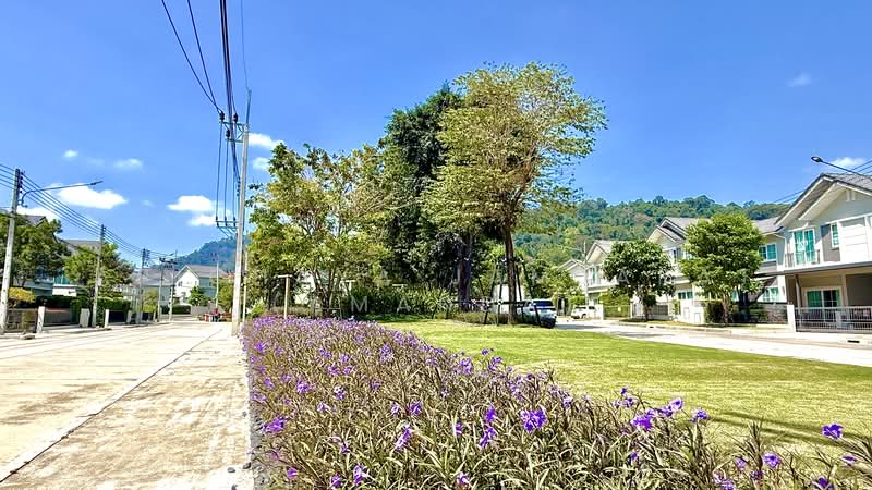 Anasiri Paklok, Phuket, Tha Ruea-Muang Mai Road, Pa Khlok, Thalang, Phuket, 4 Bedrooms, 200 sqm, Single Detached House For Rent, by Apichaya Jamjarat (Amanda), 500096127 - DDproperty.com