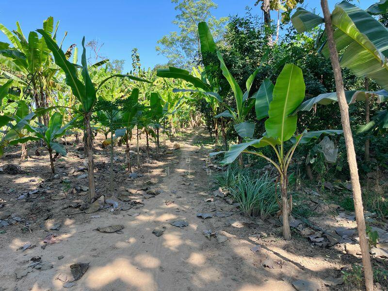 ขาย - ที่ดินเปล่า 1 ไร่ ติดคลอง แปลงสี่เหลี่ยมสวย ตำบลในเมือง อำเภอสวรรคโลก จังหวัดสุโขทัย, สุโขทัย