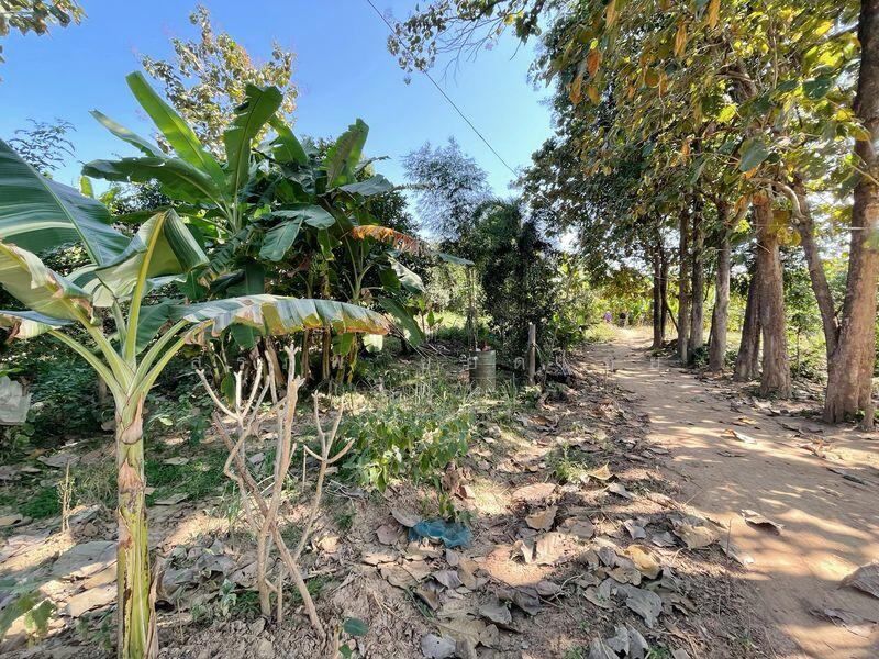 ขาย - ที่ดินเปล่า 1 ไร่ ติดคลอง แปลงสี่เหลี่ยมสวย ตำบลในเมือง อำเภอสวรรคโลก จังหวัดสุโขทัย, สุโขทัย