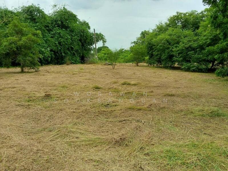 For Sale - Land and Townhome for sale, Saraburi