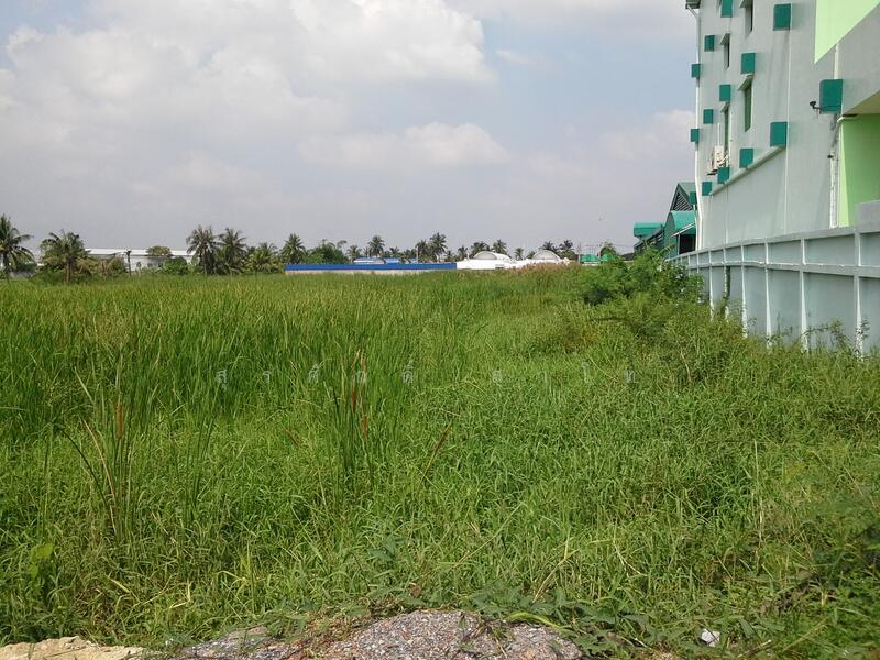 Vacant Land, Bangkok, เอกชัย, Bang Bon, Bang Bon, Bangkok, , 13,488 sqm, Land For Rent, by Surasak Satho, 500096537 - DDproperty.com