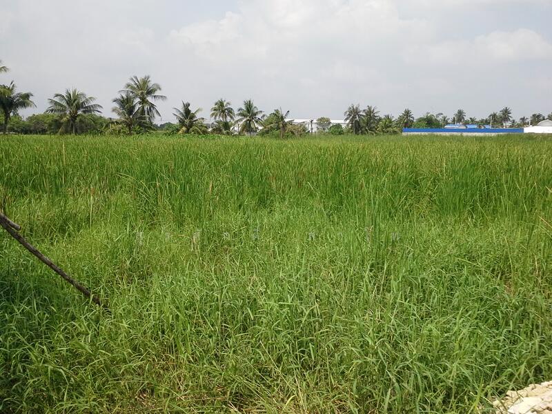 Vacant Land, Bangkok, เอกชัย, Bang Bon, Bang Bon, Bangkok, , 13,488 sqm, Land For Rent, by Surasak Satho, 500096537 - DDproperty.com