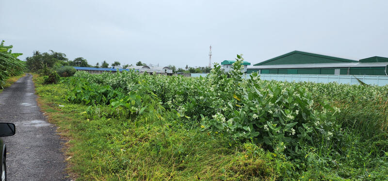 Vacant Land, Bangkok, เอกชัย, Bang Bon, Bang Bon, Bangkok, , 13,488 sqm, Land For Rent, by Surasak Satho, 500096537 - DDproperty.com