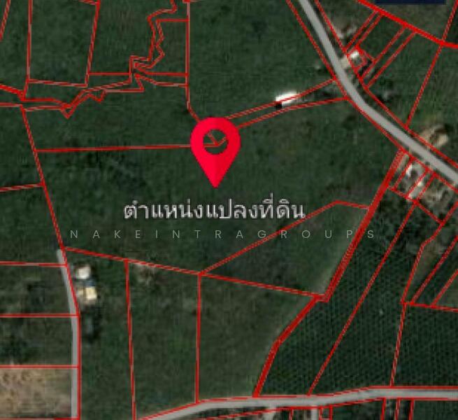 ขาย - ขายที่ดิน ตำบลห้วยนาง อำเภอห้วยยอด จังหวัดตรัง, ตรัง