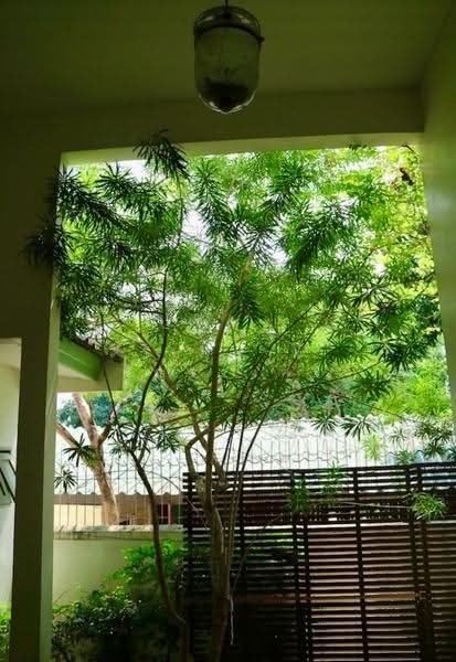 WPDD-029 บ้านพร้อมที่ดิน ถนนพญาไท ซอยประดิพัทธ์ เนื้อที่ 214 ตรว, กรุงเทพ, สามเสนใน, พญาไท, กรุงเทพ, 200 ตร.ม., บ้านเดี่ยว ขาย, โดย วันวิสาข์ ปัญจรงคะ, 500097122 - DDproperty.com