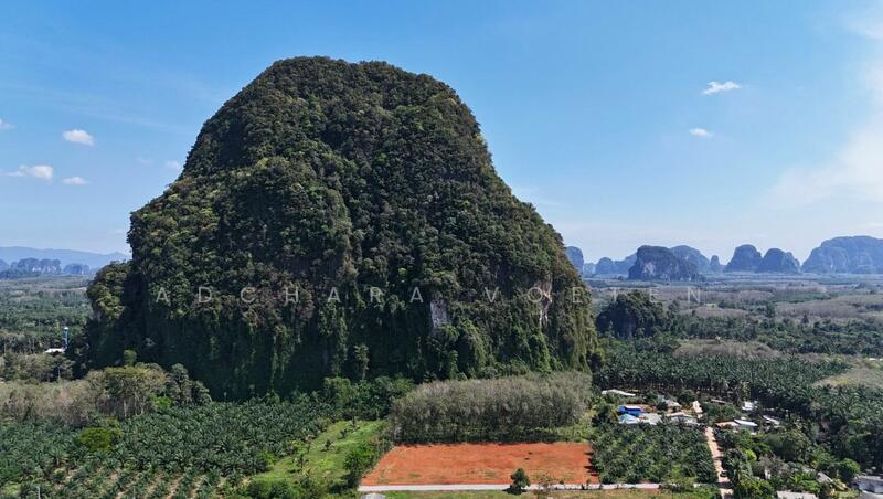 Scenic Mountain-View Land Plots, Krabi, กระบี่, Krabi, Nong Tale, Muang Krabi, Krabi, , 360 sqm, Land For Sale, by Adchara Voeten, 500097281 - DDproperty.com