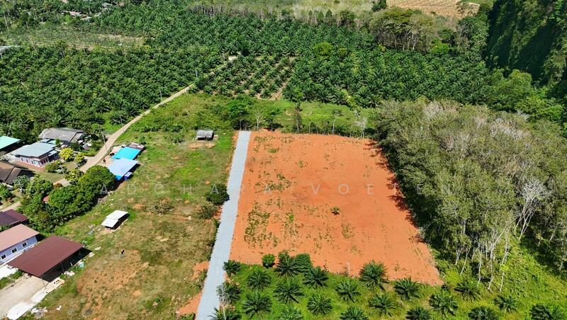 Scenic Mountain-View Land Plots, Krabi, กระบี่, Krabi, Nong Tale, Muang Krabi, Krabi, , 360 sqm, Land For Sale, by Adchara Voeten, 500097281 - DDproperty.com