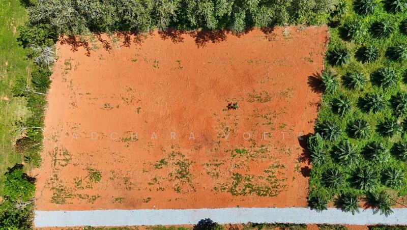 Scenic Mountain-View Land Plots, Krabi, กระบี่, Krabi, Nong Tale, Muang Krabi, Krabi, , 360 sqm, Land For Sale, by Adchara Voeten, 500097281 - DDproperty.com