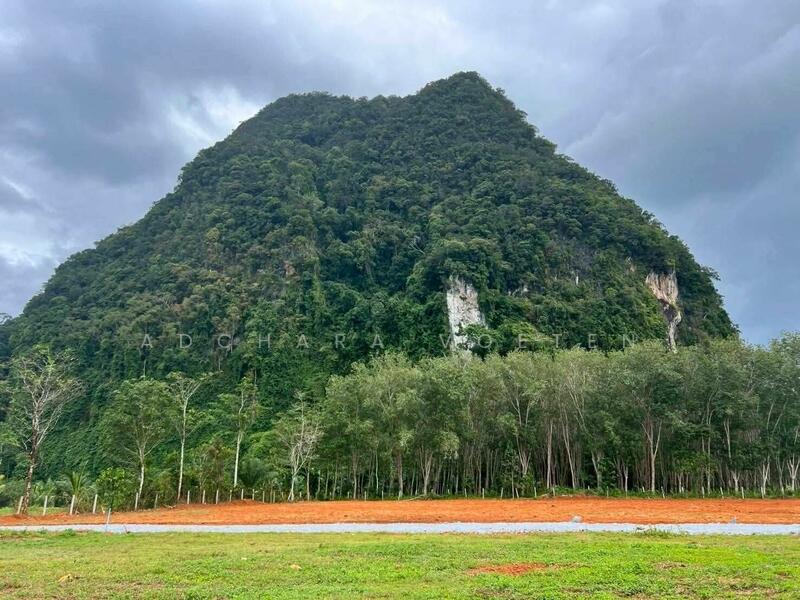 เปิดให้จอง ที่ดินแปลงสวย วิวภูเขาล้อมรอบ กระบี่, Krabi, กระบี่, หนองทะเล, เมืองกระบี่, กระบี่, 360 ตร.ม., ที่ดิน ขาย, โดย Adchara Voeten, 500097281 - DDproperty.com