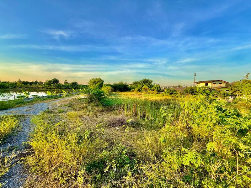 ขาย - ขายที่ดิน 10 แปลง 9 ไร่กว่า นครชัยศรี, นครปฐม