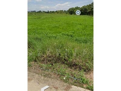 ขาย - ที่ดินเปล่า 2 งาน 58 ตร.วา อ.เมืองนครนายก นครนายก, นครนายก