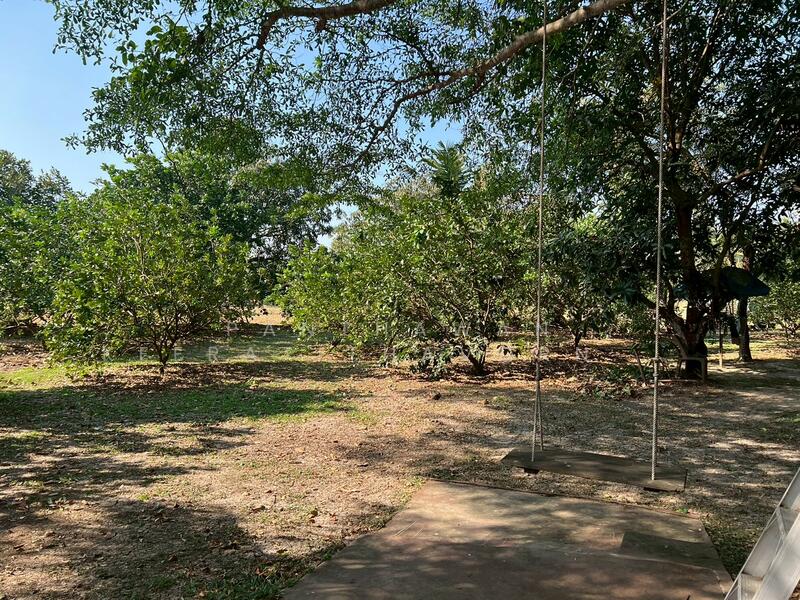 ขาย - บ้านสวนส้มโอ บ้านพักตากอากาศ สรรคบุรี ชัยนาท, ชัยนาท