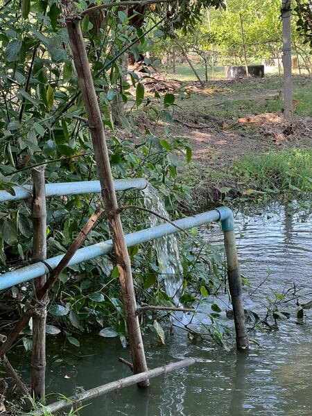 ขาย - บ้านสวนส้มโอ บ้านพักตากอากาศ สรรคบุรี ชัยนาท, ชัยนาท