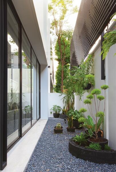 WPDD-031 บ้านซอยโยธินพัฒนา 11, Bangkok, Khlong Chan, Bang Kapi, Bangkok, 4 Bedrooms, 350 sqm, Single Detached House For Sale, by วันวิสาข์ ปัญจรงคะ, 500097822 - DDproperty.com