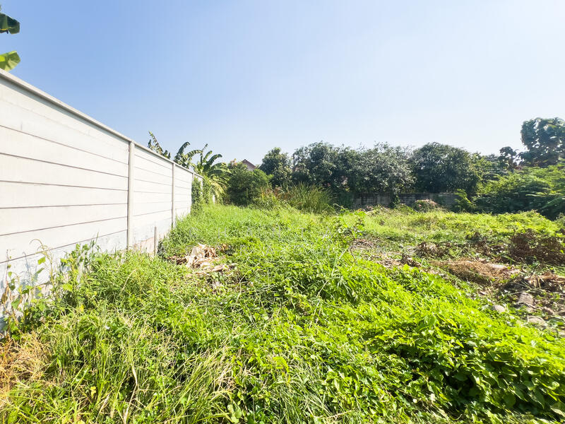 For Sale - Land Soi Chimphli 28., Bangkok