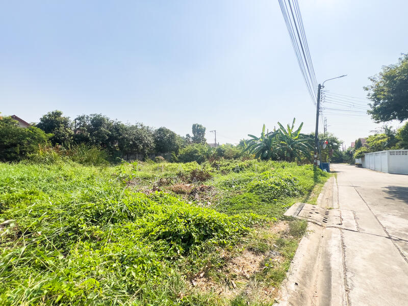 For Sale - Land Soi Chimphli 28., Bangkok