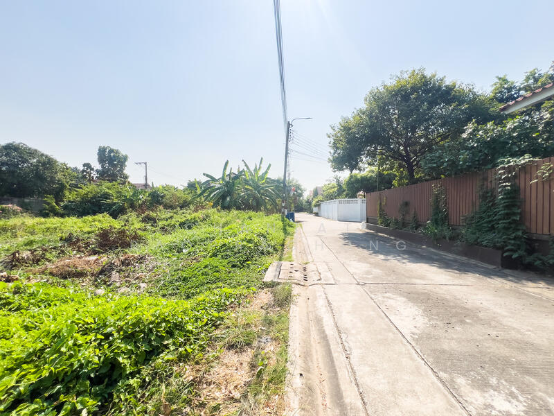 For Sale - Land Soi Chimphli 28., Bangkok