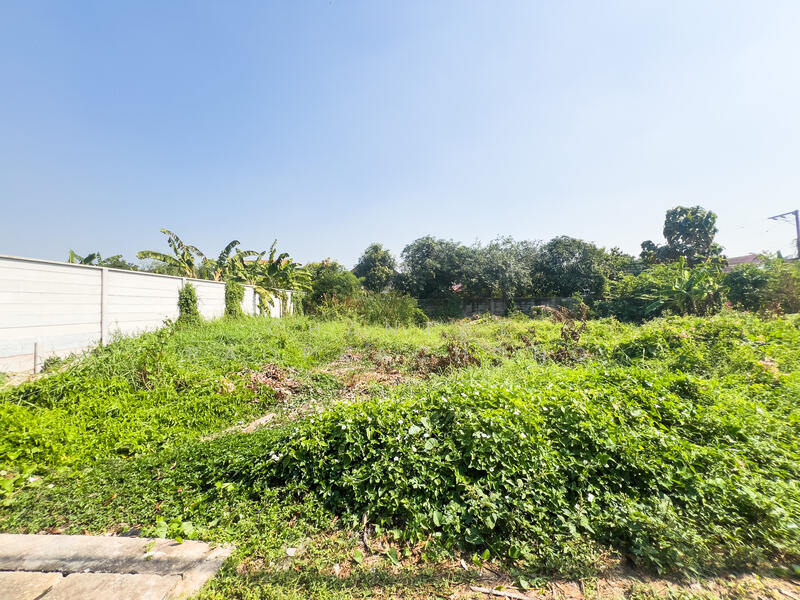 For Sale - Land Soi Chimphli 28., Bangkok