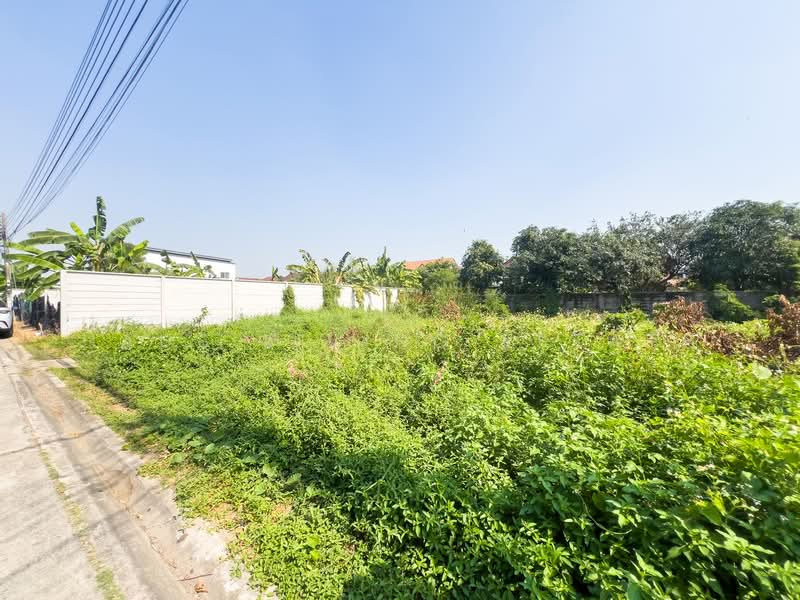 Land Soi Chimphli 28., Bangkok, Chim Plee, Taling Chan, Bangkok, , 400 sqm, Land For Sale, by Haus Living Estate, 500098476 - DDproperty.com
