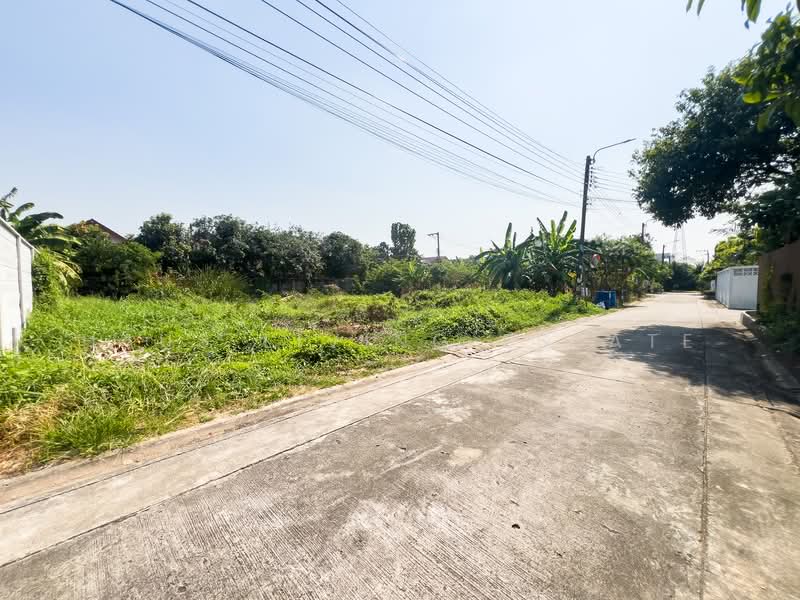 Land Soi Chimphli 28., Bangkok, Chim Plee, Taling Chan, Bangkok, , 400 sqm, Land For Sale, by Haus Living Estate, 500098476 - DDproperty.com