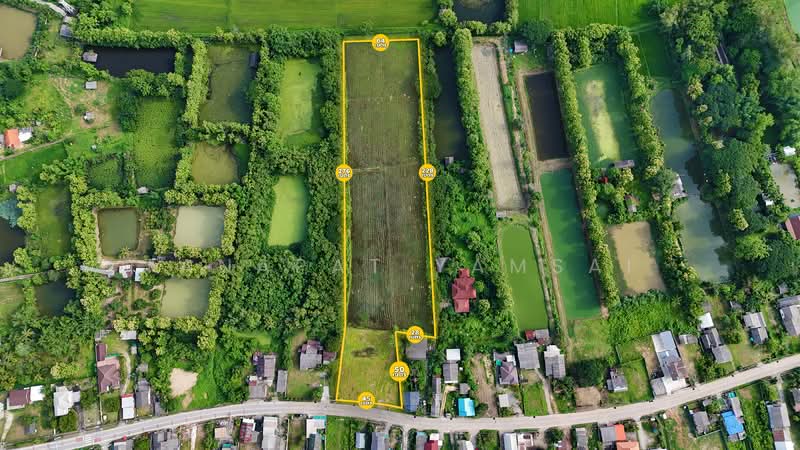 บ้านป่าข่า, เชียงราย, หัวง้ม, พาน, เชียงราย, 15,944 ตร.ม., Land ขาย, โดย Tanapat Yamsai, 500098835 - DDproperty.com