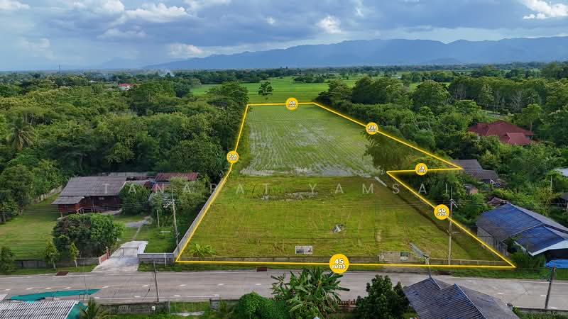 บ้านป่าข่า, เชียงราย, หัวง้ม, พาน, เชียงราย, 15,944 ตร.ม., Land ขาย, โดย Tanapat Yamsai, 500098835 - DDproperty.com